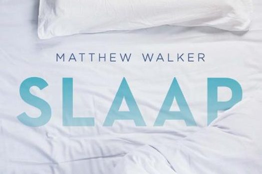 Slaap, Matthew Walker